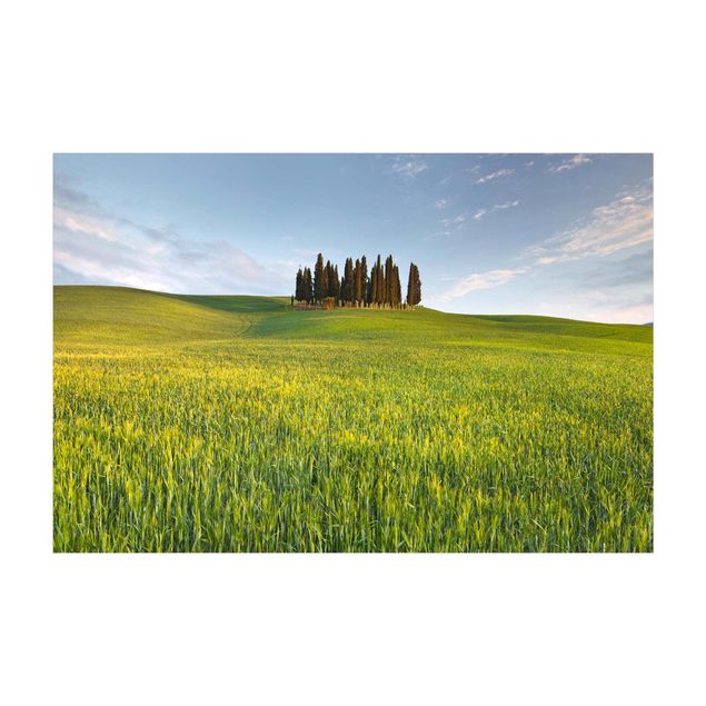mattor natur Green Field In Tuscany