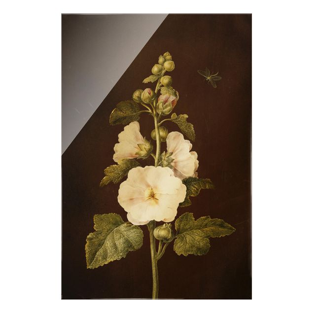 Glastavlor blommor  Barbara Regina Dietzsch - Hollyhock