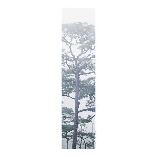 Panelgardiner landskap Treetops In Fog