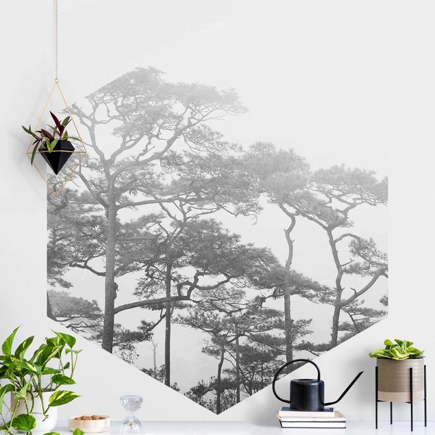 Kök dekoration Treetops In Fog Black And White