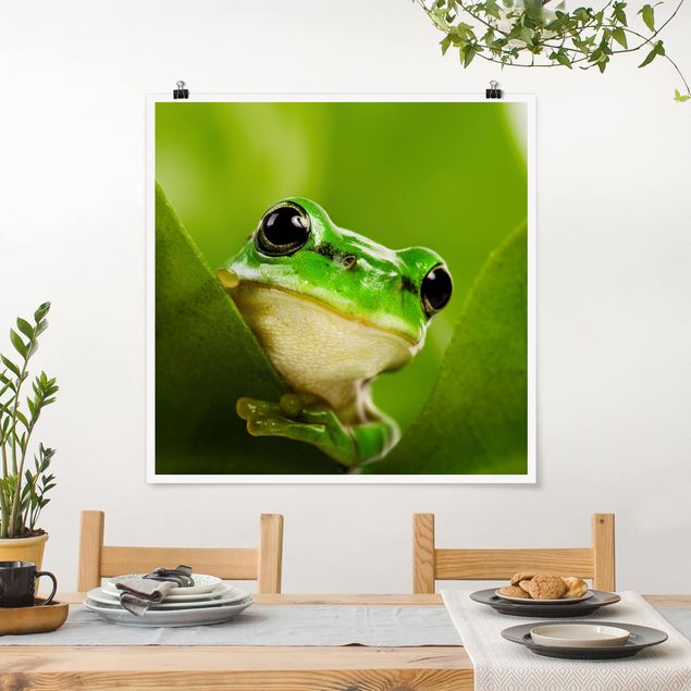 Posters blommor  Frog