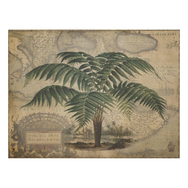 Trätavlor blommor  Vintage Collage - Palm And World Map