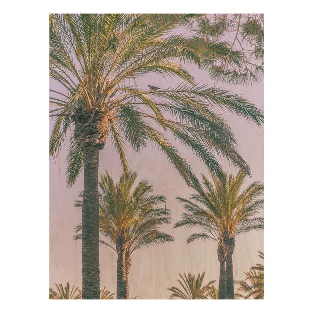 Trätavlor blommor  Palm Trees At Sunset
