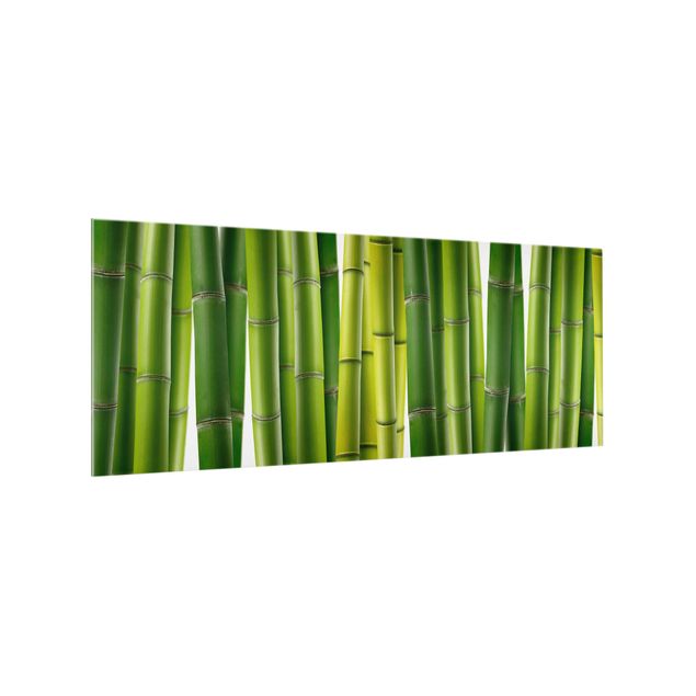 stänkskydd kök glas Bamboo Plants
