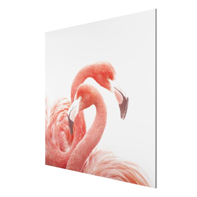 Tavlor modernt Two Flamingos