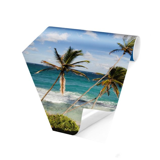 Fototapeter landskap Beach Of Barbados