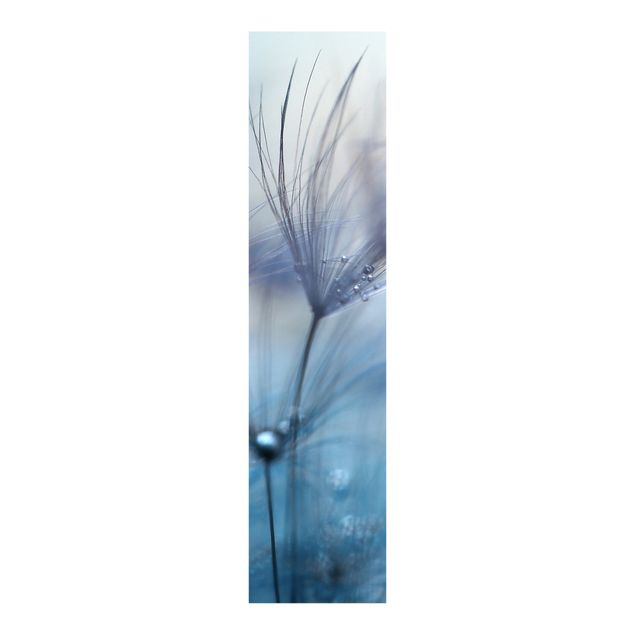 Panelgardiner blommor  Blue Feathers In The Rain