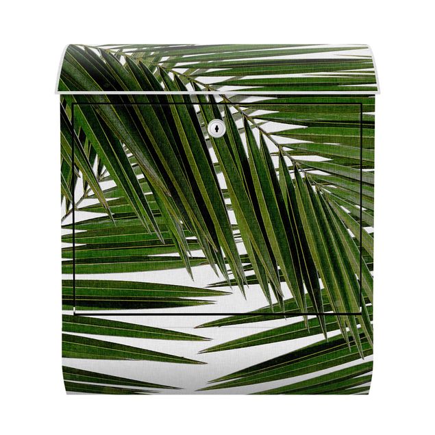 Brevlådor landskap View Through Green Palm Leaves