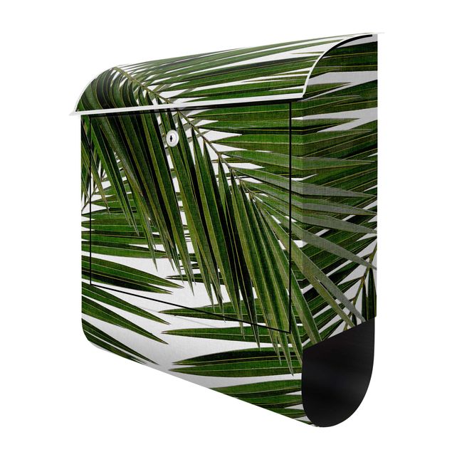 Brevlådor grön View Through Green Palm Leaves