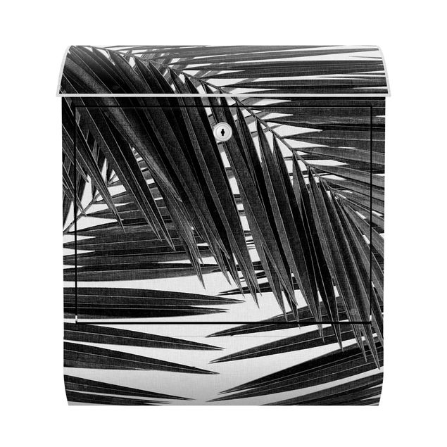 Brevlådor svart och vitt View Through Palm Leaves Black And White
