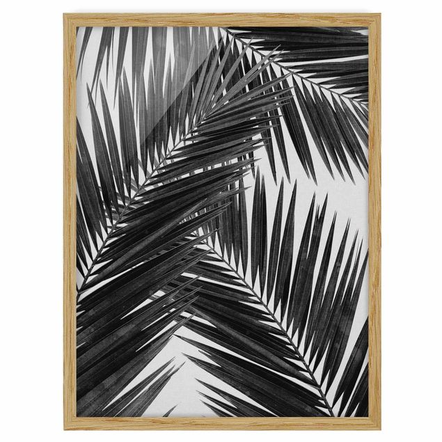 Tavlor med ram svart och vitt View Through Palm Leaves Black And White