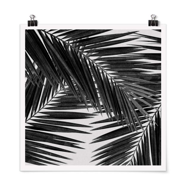 Posters svart och vitt View Through Palm Leaves Black And White