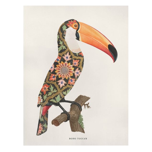 Tavlor färgglada Boho Birds - Toucan