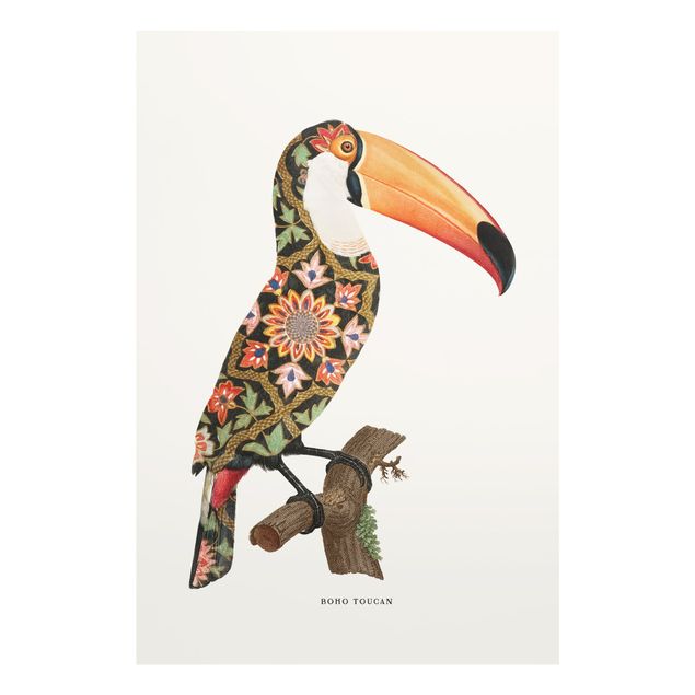 Tavlor Jonas Loose Boho Birds - Toucan