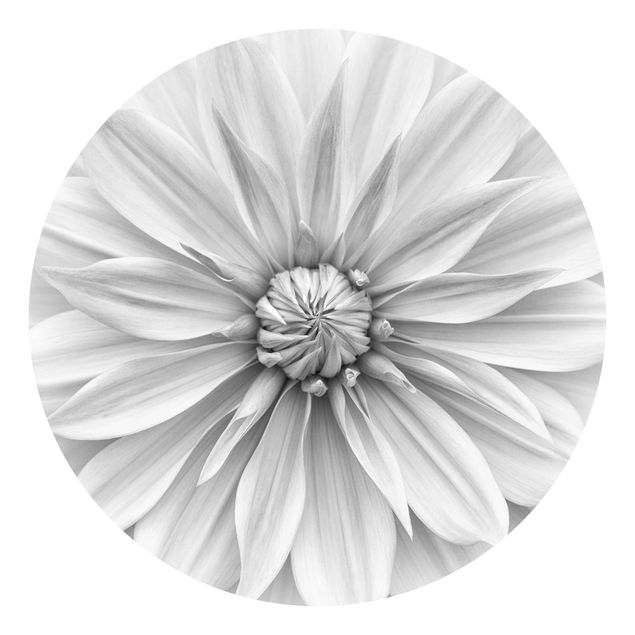Fototapeter svart och vitt Botanical Blossom In White