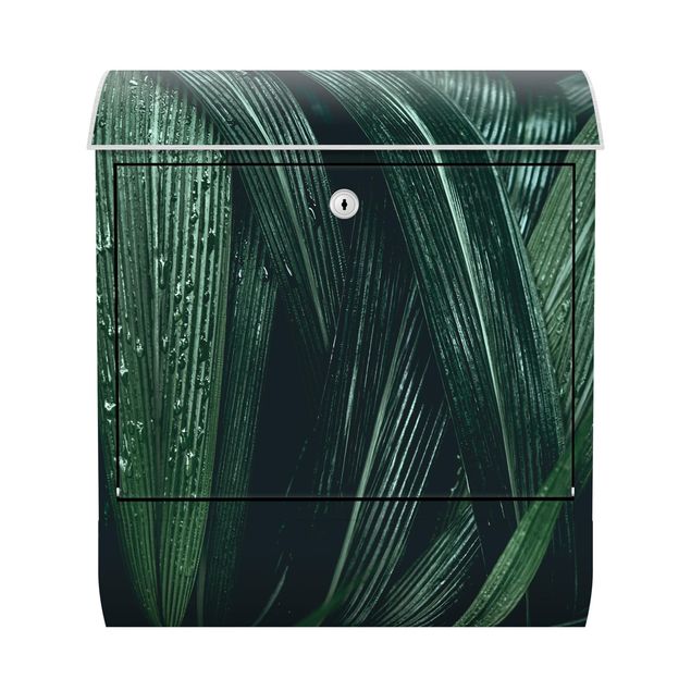 Brevlådor grön Green Palm Leaves