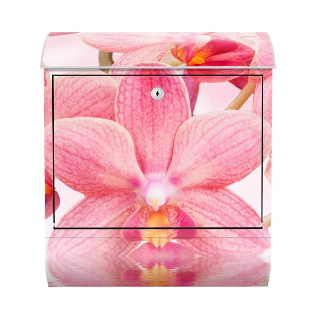 Brevlådor rosa Light Pink Orchid On Water