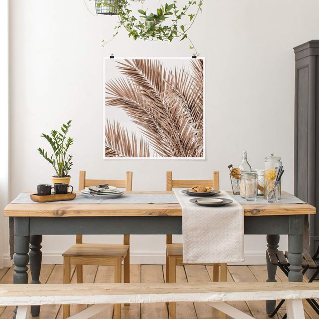 Posters blommor  Bronze Coloured Palm Fronds