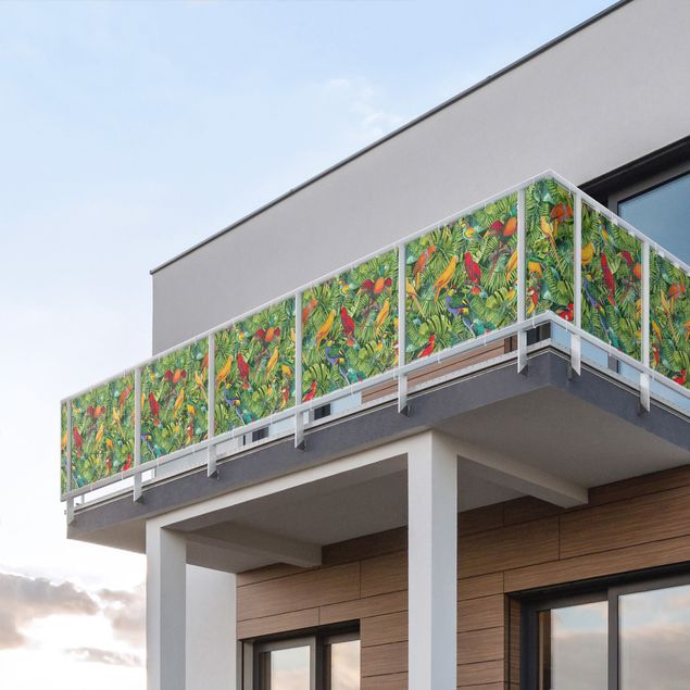 Insynsskydd för balkong väderbeständigt Colourful Collage - Parrots In The Jungle
