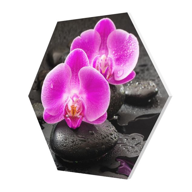 Tavlor Uwe Merkel Pink Orchid Flowers On Stones With Drops