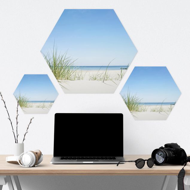 Hexagonala tavlor Baltic Sea Coast