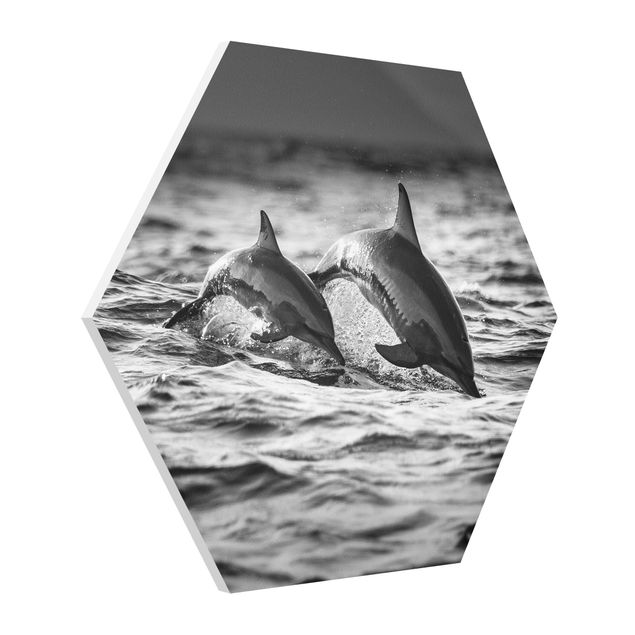 Tavlor djur Two Jumping Dolphins