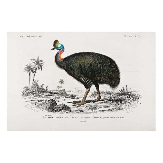 Tavlor natur Vintage Board Emu