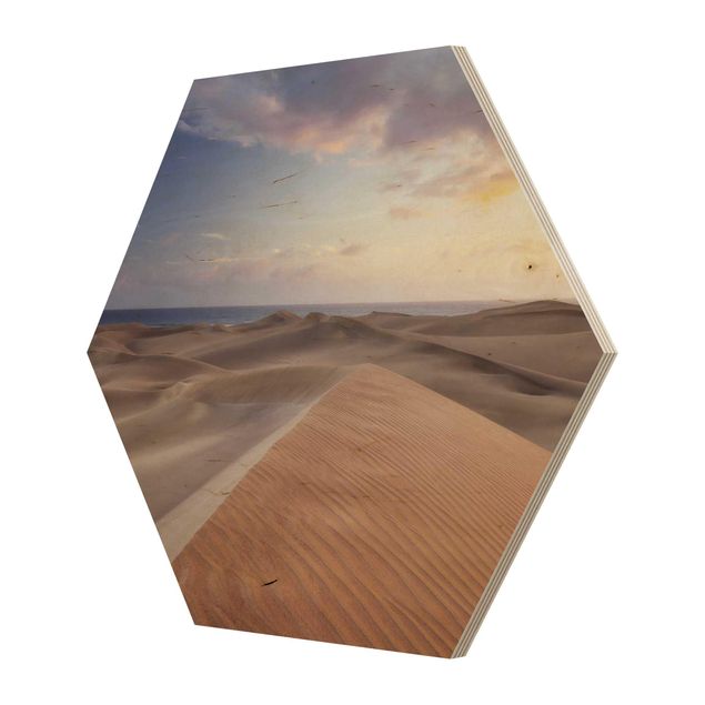 Hexagonala tavlor View Of Dunes