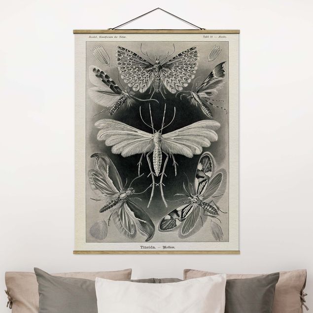 Kök dekoration Vintage Board Moths And Butterflies