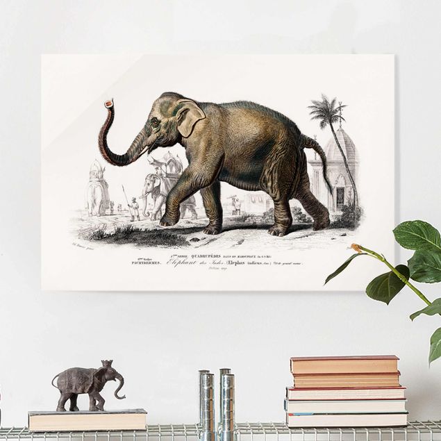 Kök dekoration Vintage Board Elephant