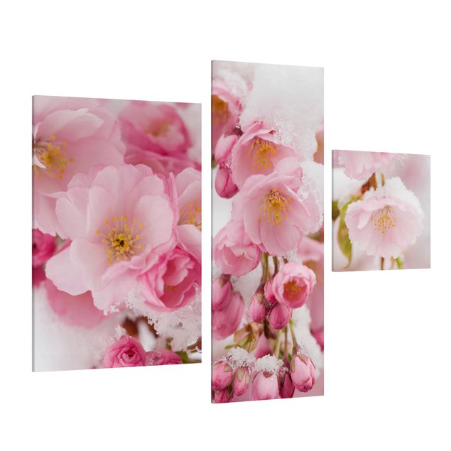Canvastavlor blommor  Snow-Covered Cherry Blossoms