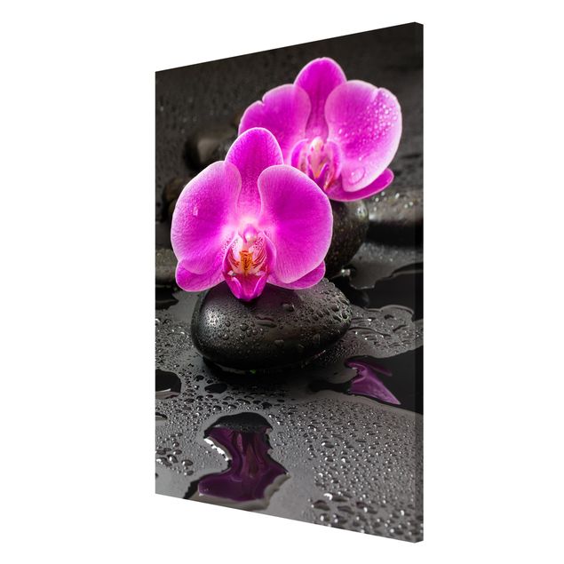 Magnettavla blommor  Pink Orchid Flower On Stones With Drops