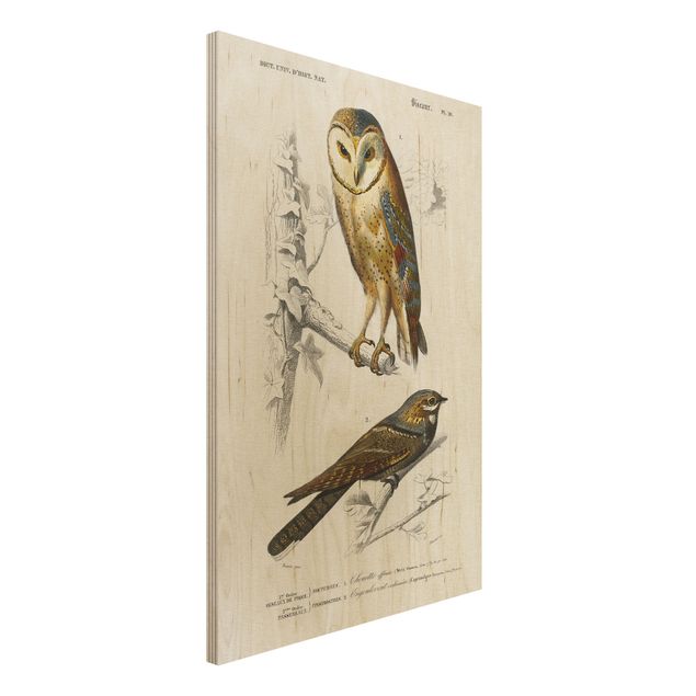 Kök dekoration Vintage Board Owl And Swallow
