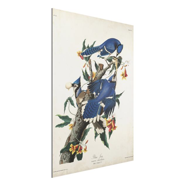 Kök dekoration Vintage Board Blue Jays