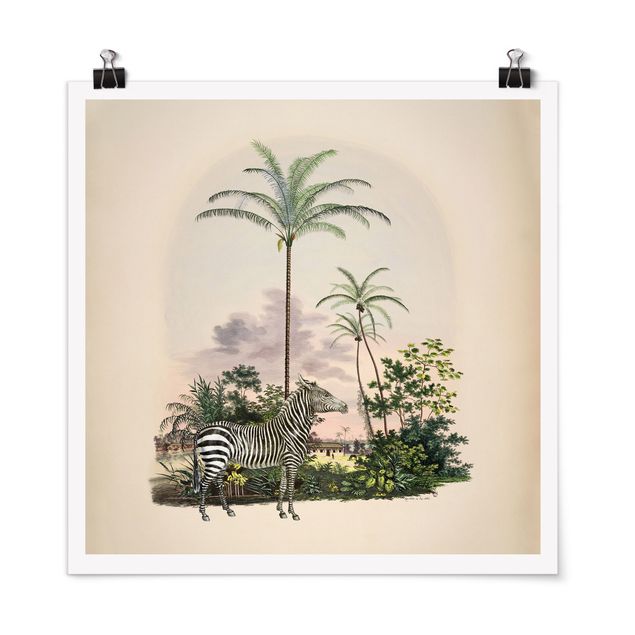 Posters konstutskrifter Zebra Front Of Palm Trees Illustration