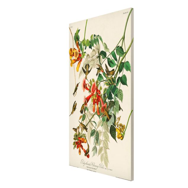 Tavlor blommor Vintage Board Hummingbirds