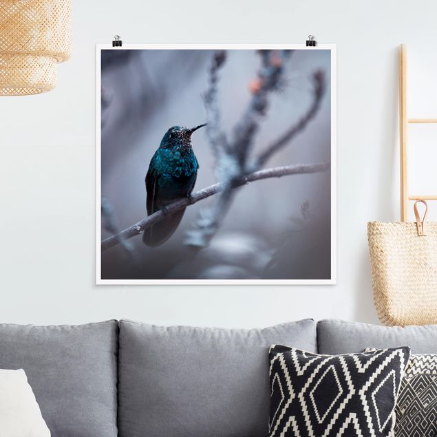 Posters djur Hummingbird In Winter