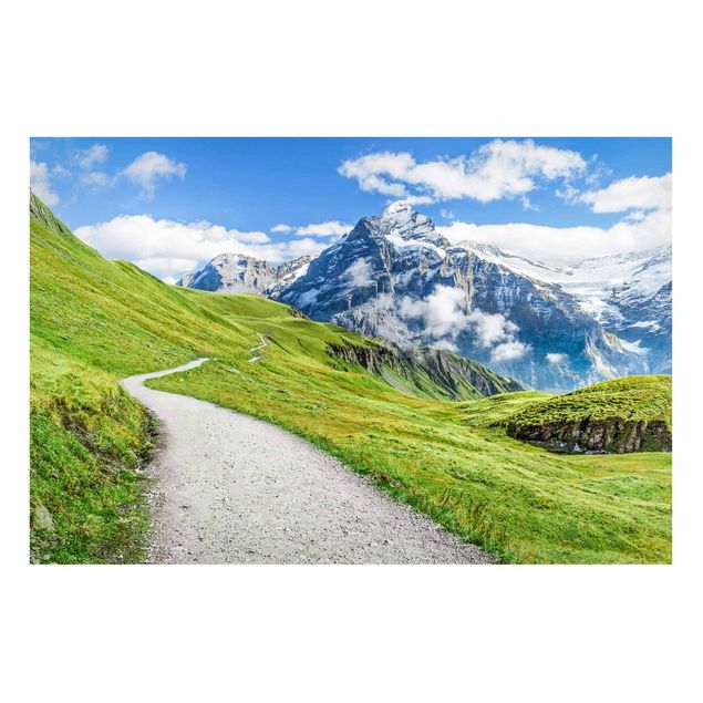 Tavlor Schweiz Grindelwald Panorama