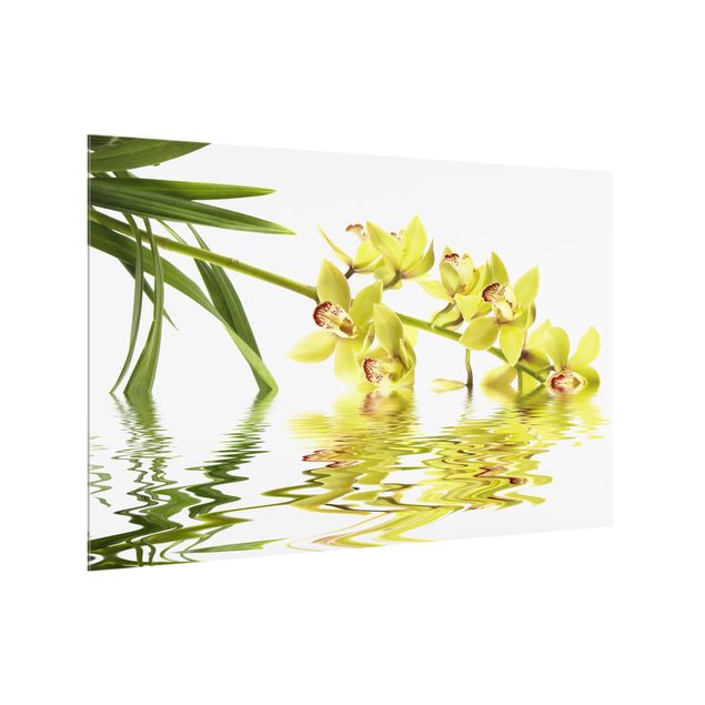 glasskivor kök Elegant Orchid Waters
