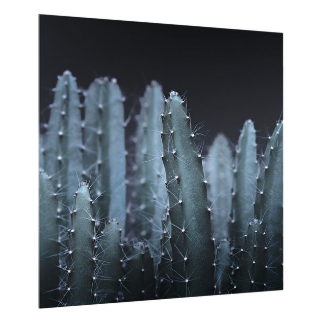 Tavlor Monika Strigel Desert Cactus At Night
