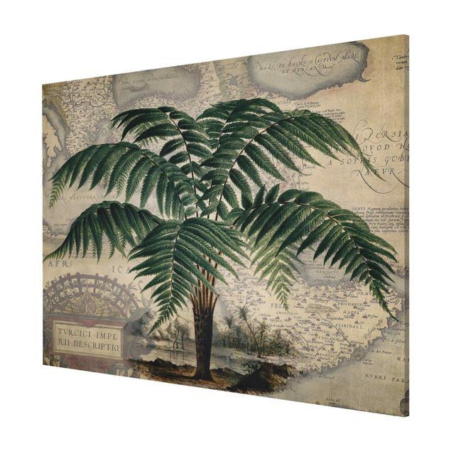 Magnettavla blommor  Vintage Collage - Palm And World Map