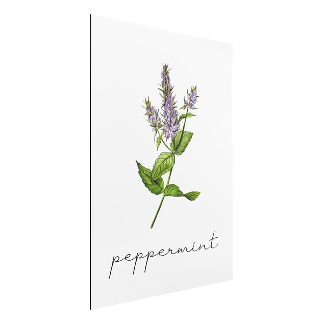 Kök dekoration Herbs Illustration Pepper Mint