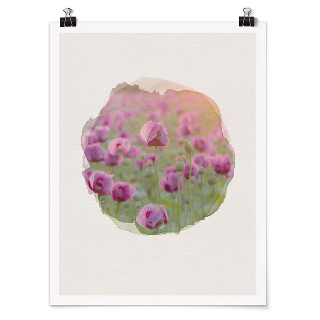 Tavlor blommor WaterColours - Violet Poppy Flowers Meadow In Spring