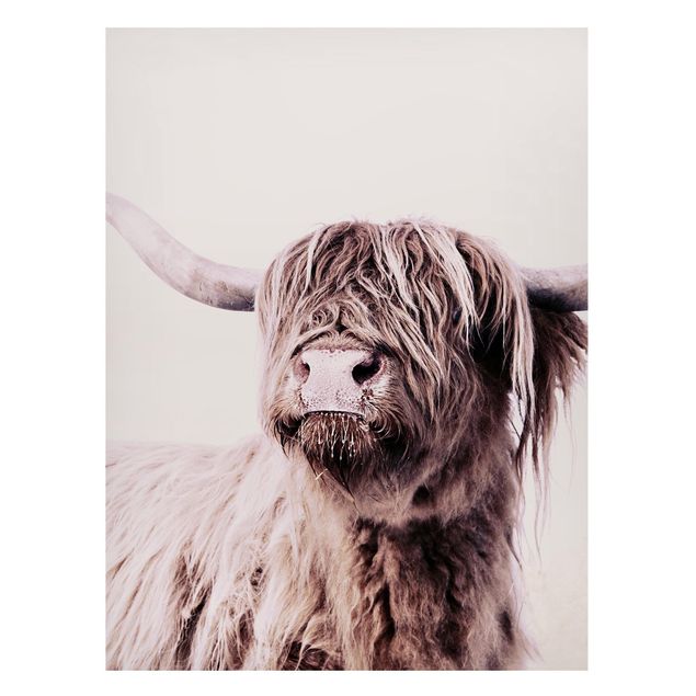 Magnettavla djur Highland Cattle Frida In Beige