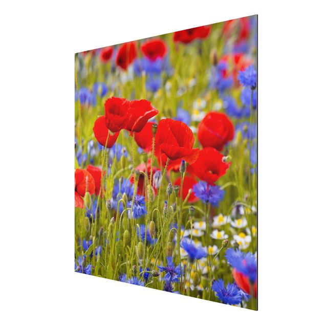 Tavlor blommor Summer Meadow With Poppies And Cornflowers