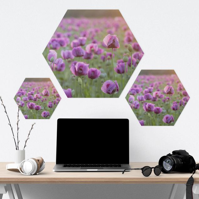 Hexagonala tavlor Purple Poppy Flower Meadow In Spring
