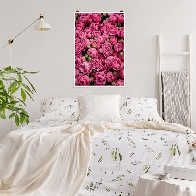 Posters blommor  Pink Peonies