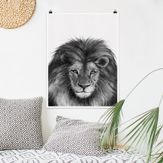 Tavlor lejon Illustration Lion Monochrome Painting