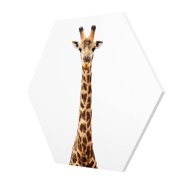 Hexagonala tavlor Giraffe head