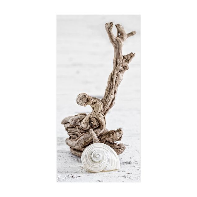 beige matta White Snail Shell And Root Wood